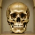 Skull of St. Thomas Aquinas