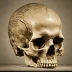 Skull of Friedrich Schiller (Goethe and Schiller Archive)