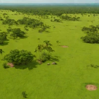 Sipaliwini Savanna