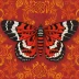 Scarlet tiger