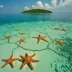 Starfish Island (Honda Bay)