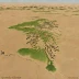 Syrian Steppe (Badia)