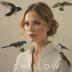 Swallow