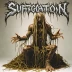 Suffocation - Breeding the Spawn