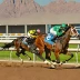 Sunland Derby