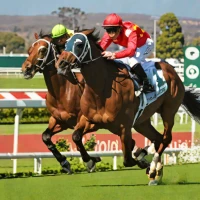 South Australian Derby