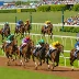 South African Derby