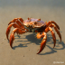 Sentinel Crab