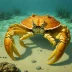 Shame-faced Crab