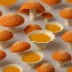 Saffron Milk Cap