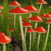 Scarlet Waxcap