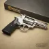 Smith & Wesson SW22 Victory