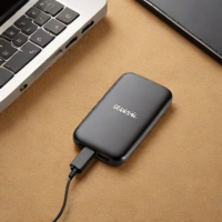 SanDisk Ultra Portable SSD Plus