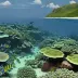 St. Eustatius Reef