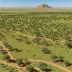 Sekhukhune Plains Bushveld
