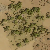 Stella Bushveld
