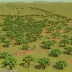 Swaziland Sour Bushveld
