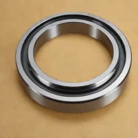 SKF CRW1