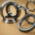 SKF HDS1