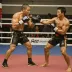 Shootfighting