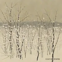 Scattered Snows, to the North