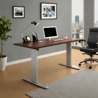 SleekDesk Executive Series
