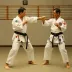 Shidokan Karate