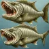 Sabretooth Fish