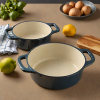 Stoneware with Enamel Coating