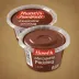 Snack Pack Fat Free Chocolate Pudding