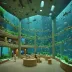 Suzhou Haichang Ocean World