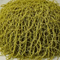 Sea Spaghetti (Himanthalia elongata)