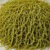 Sea Spaghetti (Himanthalia elongata)