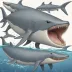 Strap-toothed Whale