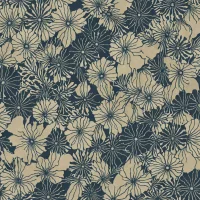 Shibori
