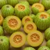 Sungold Casaba