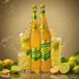 Schweppes Ginger Beer