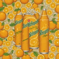 Schweppes Orange