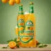 San Pellegrino Aranciata