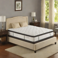 Spocket 6-Inch Gel Memory Foam Mattress