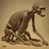 Selam (DIK-1-1, Australopithecus afarensis)