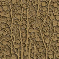 Sigillaria brardii