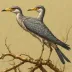 Sapeornis chaoyangensis