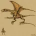 Sharovipteryx mirabilis