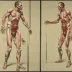 Study of the Human Body - Diptych (Bacon, 1982)