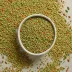 Spiceology Really Ranch Salt-Free Blend