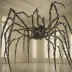 Spider by Louise Bourgeois