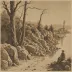 Selected Poems of Robinson Jeffers