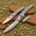 Spyderco Dragonfly 2 Stainless Steel