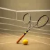 Squash tennis